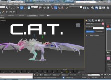 C.A.T.