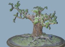 Arbol detallado